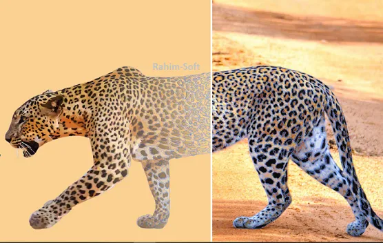 coreldraw 2026 v27.1