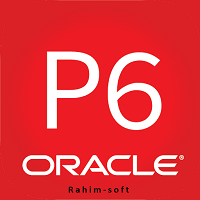 Primavera P6 Professional v24.12 logo