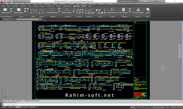 Professional Reinforcement Detailing Software for Structural Projects